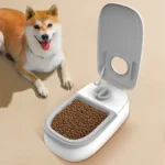One Meal Timed Automatic Pet Food Feeder