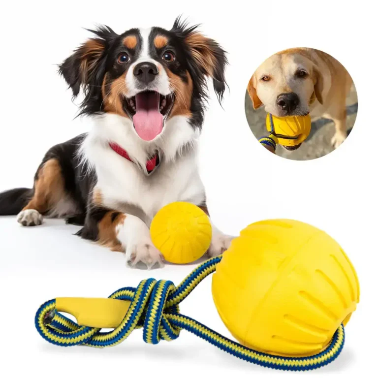 Swing & Fling Durafoam Ball on Rope Dog Toy fet Toys Kenya