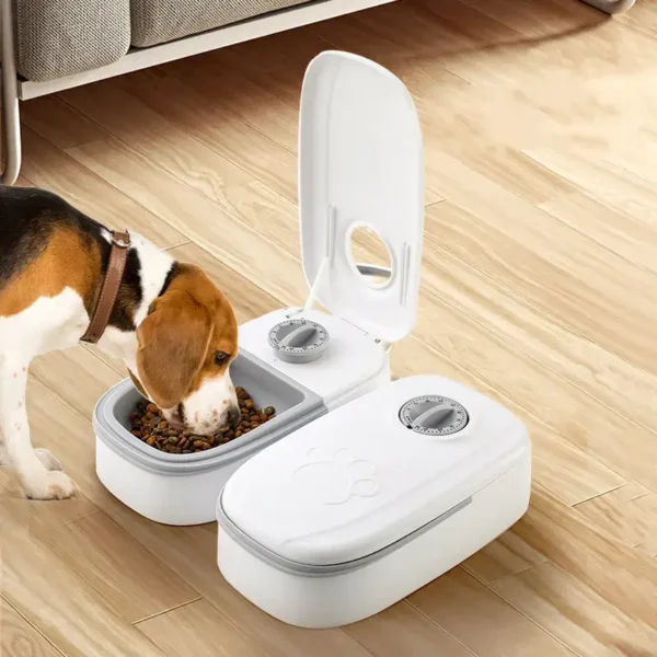 Timed Automatic Pet Food Feeder For Dogs