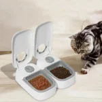 Two Meal Timed Automatic Pet Food Feeder Dog Cat Dispenser at Petsasa kenya