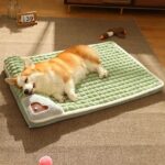 Deluxe Velvet Pillow Dog Bed with Removable Cover Petstore