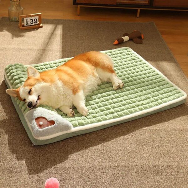 Deluxe Velvet Pillow Dog Bed with Removable Cover Petstore