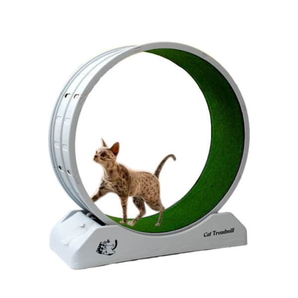 Miao Exercise Running Wheel Cat Treadmill