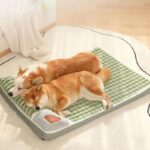 Two dogs Deluxe Velvet Pillow Dog Bed with Removable Cover Petsasa