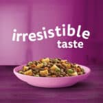 Irresistible taste Whiskas Kitten Dry Food with Chicken
