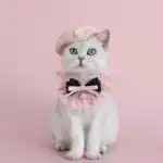 Pink Beret Cap Cat Costume Set for Photo Prop