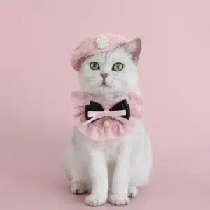 Pink Beret Cap Cat Costume Set for Photo Prop
