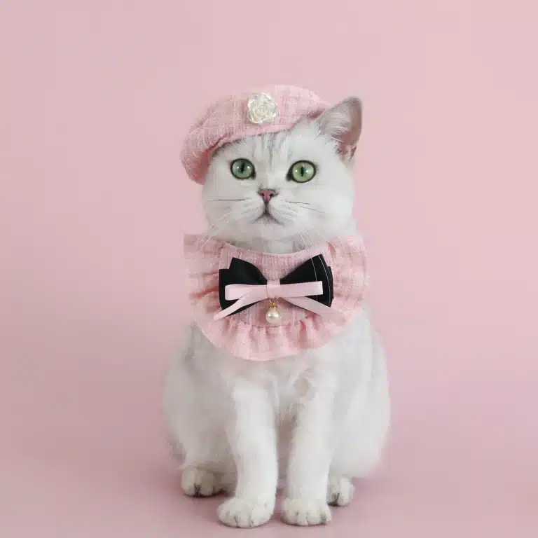 Pink Beret Cap Cat Costume Set for Photo Prop