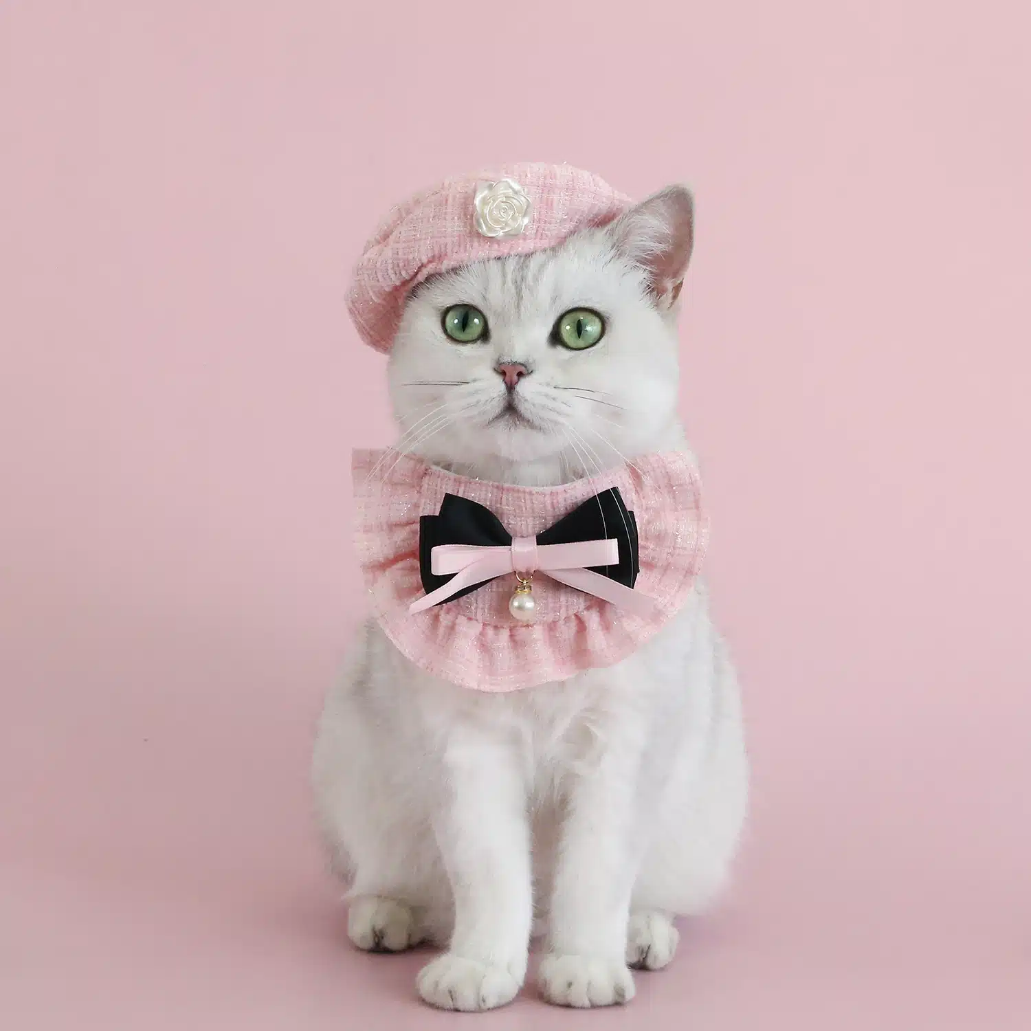 Pink Beret Cap Cat Costume Set for Photo Prop Pink Beret Cap Cat Costume Set for Photo Prop