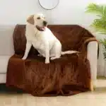 Snuggler Extra Large Waterproof Cozy Dog Blanket