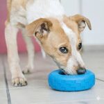 KONG Puppy Tires Dog Toy - Image 2
