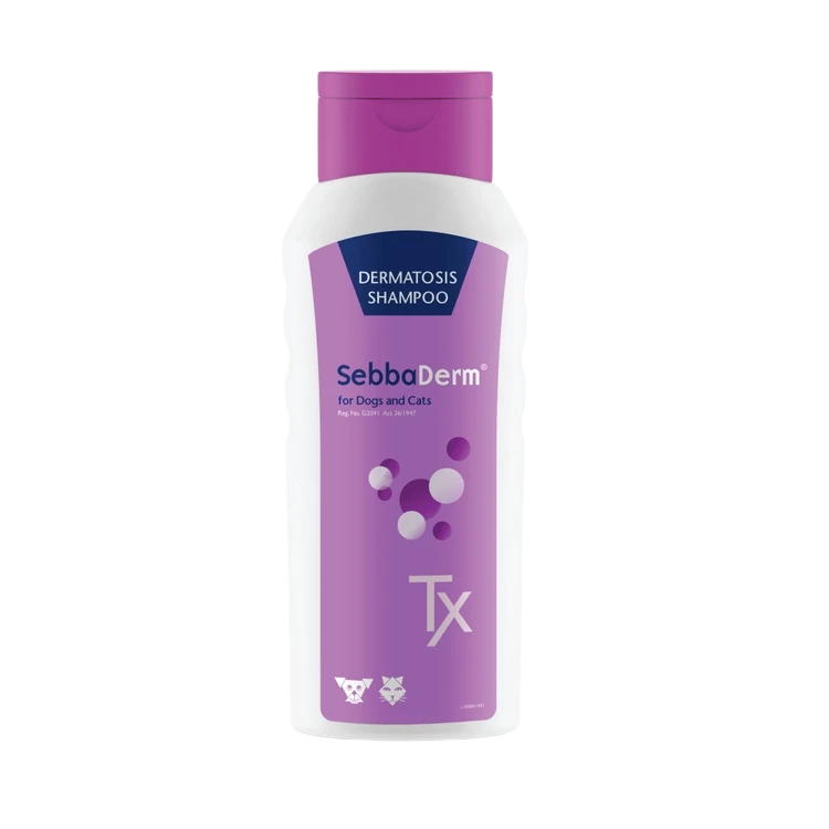 Kyron SebbaDerm ® Dog Shampoo Petsasa Kenya