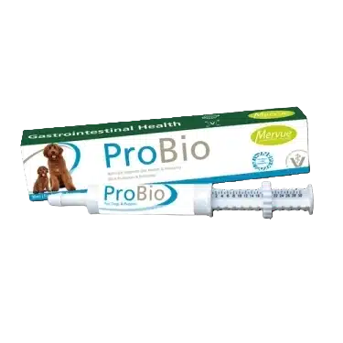 Mervue ProBio Plus Digestive Probiotics Petsasa Kenya