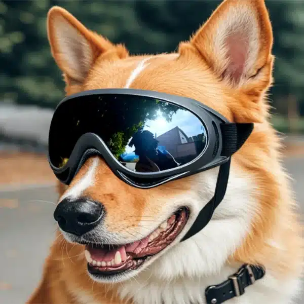 Fashionable Pet UV Protection Sunglasses Petsasa Kenya